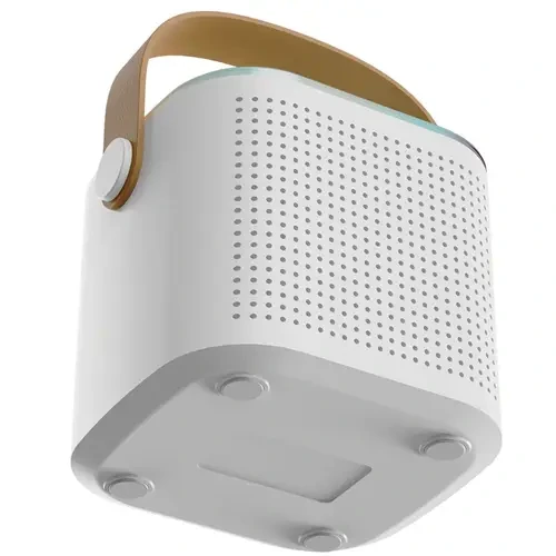 Audionic Boom Box 101 Speaker With Mic