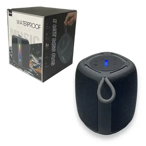 BTS-1981 Wireless Portable Speaker