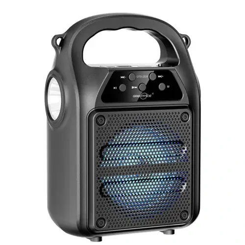 GTS-2539 FM Radio and Torch Light Speaker