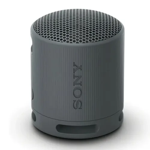 Sony SRS-XB100 Wireless Portable Speaker