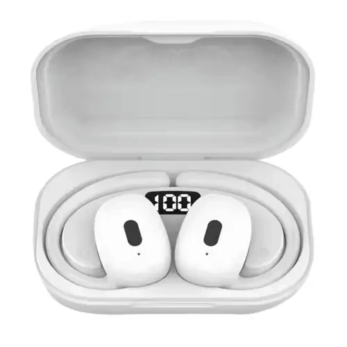 Amax 2 Wireless Ear-Hook Sports Style TWS Earbuds