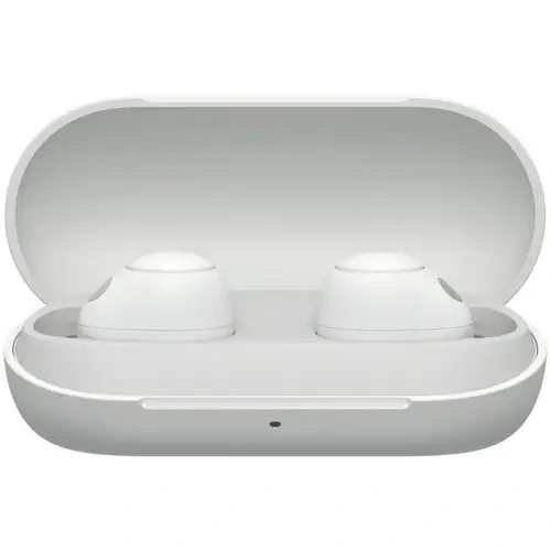 Sony Earbuds Wf-C700n